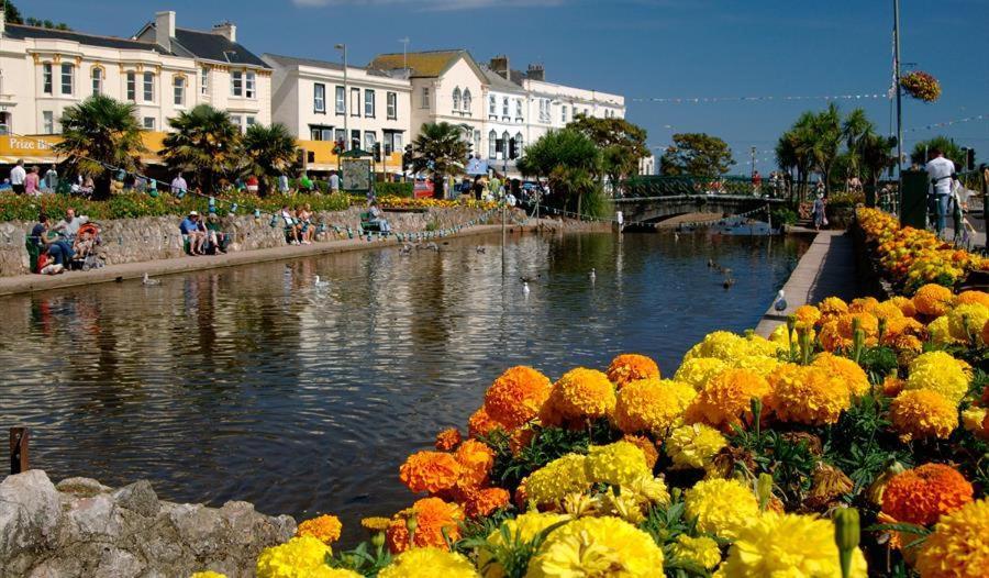 Dawlish Lawn View Apartment Ngoại thất bức ảnh