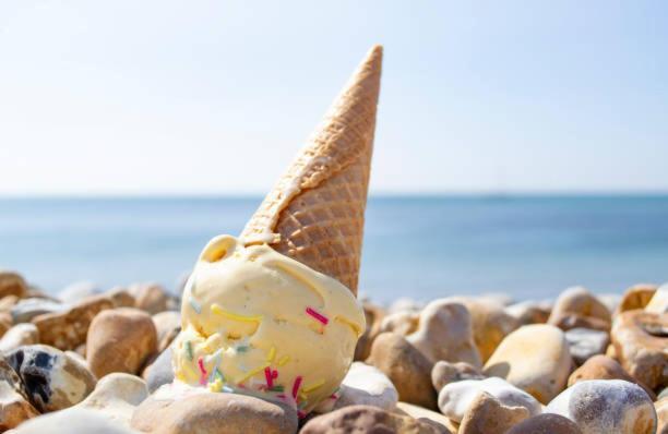 Dawlish Lawn View Apartment Ngoại thất bức ảnh